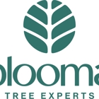 Blooma Tree Experts