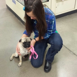 PetSmart - Phoenix, AZ