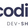 CodingIT gallery