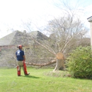 D's Tree & Stump Removal Mr - Tree Service