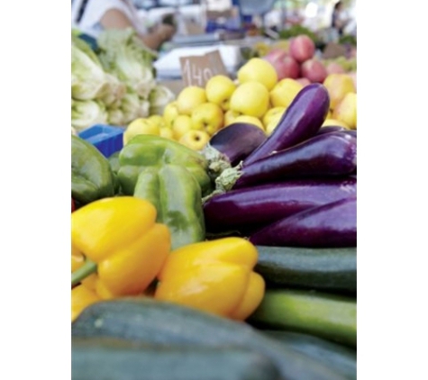 Williams Premium Wholesale