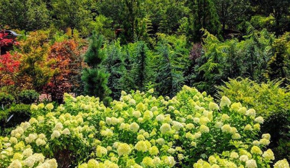 Green Outdoors Landscaping & Nursery - Asheville, NC