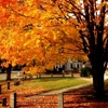 Union Congregational Church gallery