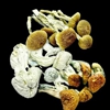 Psychedelics Dispensary gallery