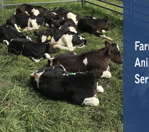 Meander Valley Veterinary Service - Deloraine, TAS. Farm Animal Services