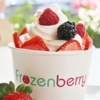 Frozenberry in Fishkill Frozen Yogurt and Ice Cream gallery