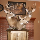 Clearwater Taxidermy Studio