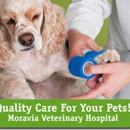 Moravia Veterinary Hospital - Veterinary Clinics & Hospitals