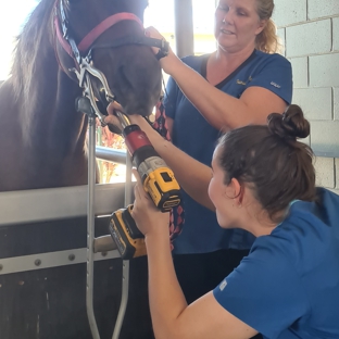 Townsville Veterinary Clinic - Aitkenvale, QLD