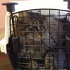 West Shore Animal Hospital gallery
