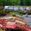 River Valley Horticulture Products gallery