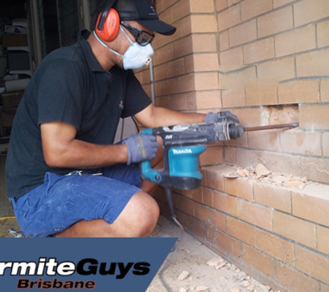 Termite Guys Brisbane. Professional Termite Inspections & Treatments