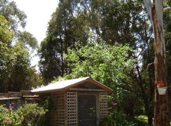 Treetops Boarding Cattery - Moorooduc, VIC
