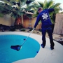 Las Vegas Pool Specialist