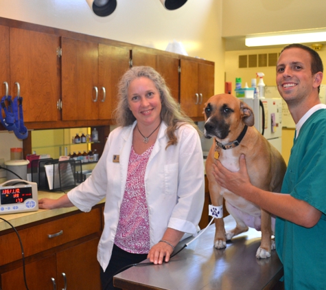 West Market Veterinary Hospital - Greensboro, NC