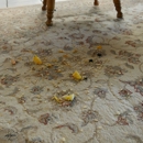 VesCo Residential Cleaning - House Cleaning