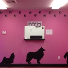 Rub-A-Dub Doggie Dog Grooming