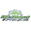 All About Trees gallery