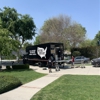 The Moving Company gallery