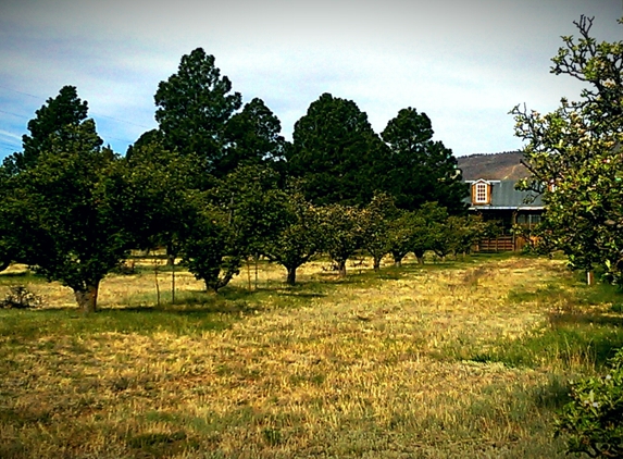 Manzano Mountain Retreat - Torreon, NM