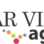 The Clear Vision Agency