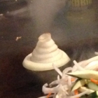 Benihana