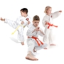 Macomb Martial Arts