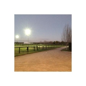 Gallery Image Number 7