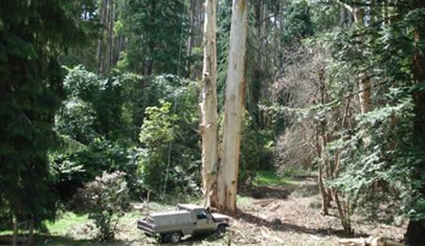 TreeSpec Professional Arborists