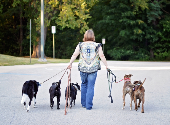 Just like MaGic - Positive Dog Training - Indianapolis, IN