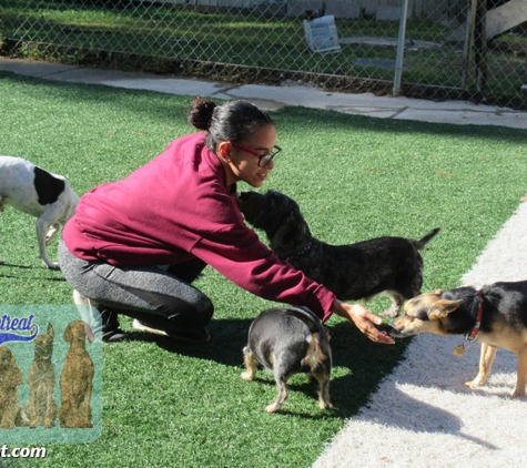 Family Pet Retreat - Spring, TX. Dog Boarding Services