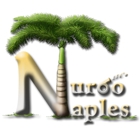 Naples Turbo LLC