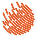 PayProTec West Coast - Check Cashing Service