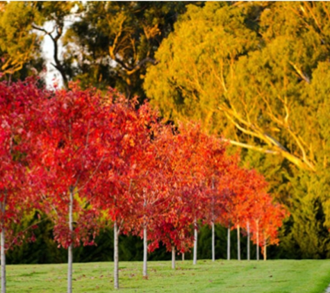 North East Survey Design - Engineer, Surveyors, Town Planner - Wangaratta, VIC