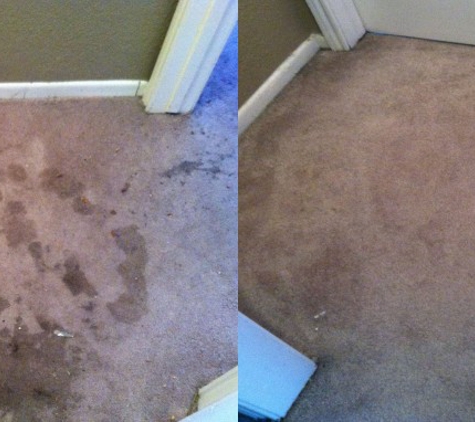 M2C Carpet Care - Deer Park, TX