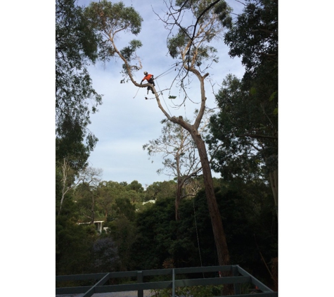 Cut It Right Tree Service - Mornington, VIC