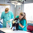PETCARE Animal Hospital - Veterinary Information & Referral Services