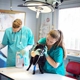 PETCARE Animal Hospital