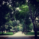 Washington Square - Restaurants