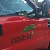 Certified Tree Care gallery