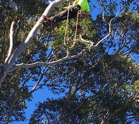 Horizon Total Tree Service - Tomakin, NSW