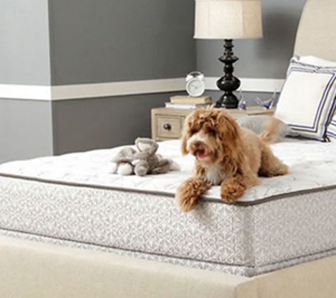 Peter's Carpet Cleaning - Maroubra, NSW