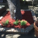 Texas Precision Lawn Care - Landscaping & Lawn Services