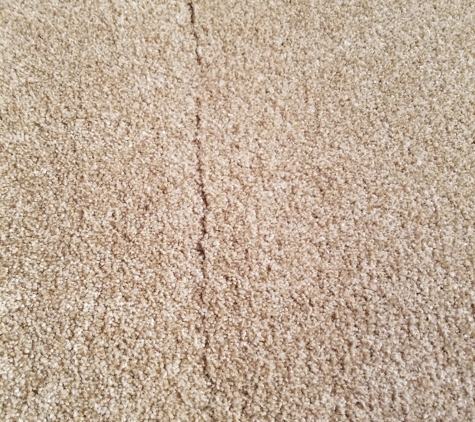 Better Quality Carpets and Floors - Wixom, MI. Don't use them...
They leave seams! And staple the carpet in