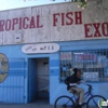Tiki's Tropical Fish gallery