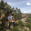 Russell's Artistry in Trees gallery