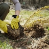 Reliable Tree Care gallery