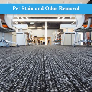 DecoRug Carpet Cleaning - Auburn, NSW. Pet Stain and Odor Removal