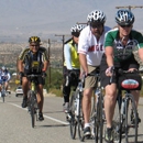 Tour De Palm Springs - Tours-Operators & Promoters