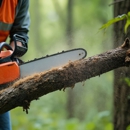 NE Tree and Property Service - Tree Service